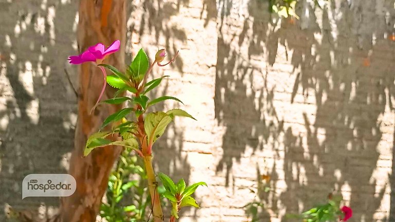 Casa MonteFlor - Desacelere com gentileza