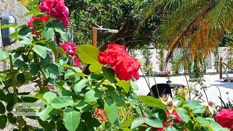 House 400 meters from the beach, a retreat between the sea a